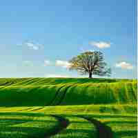 php开﻿发‍项​目​实‍战﻿